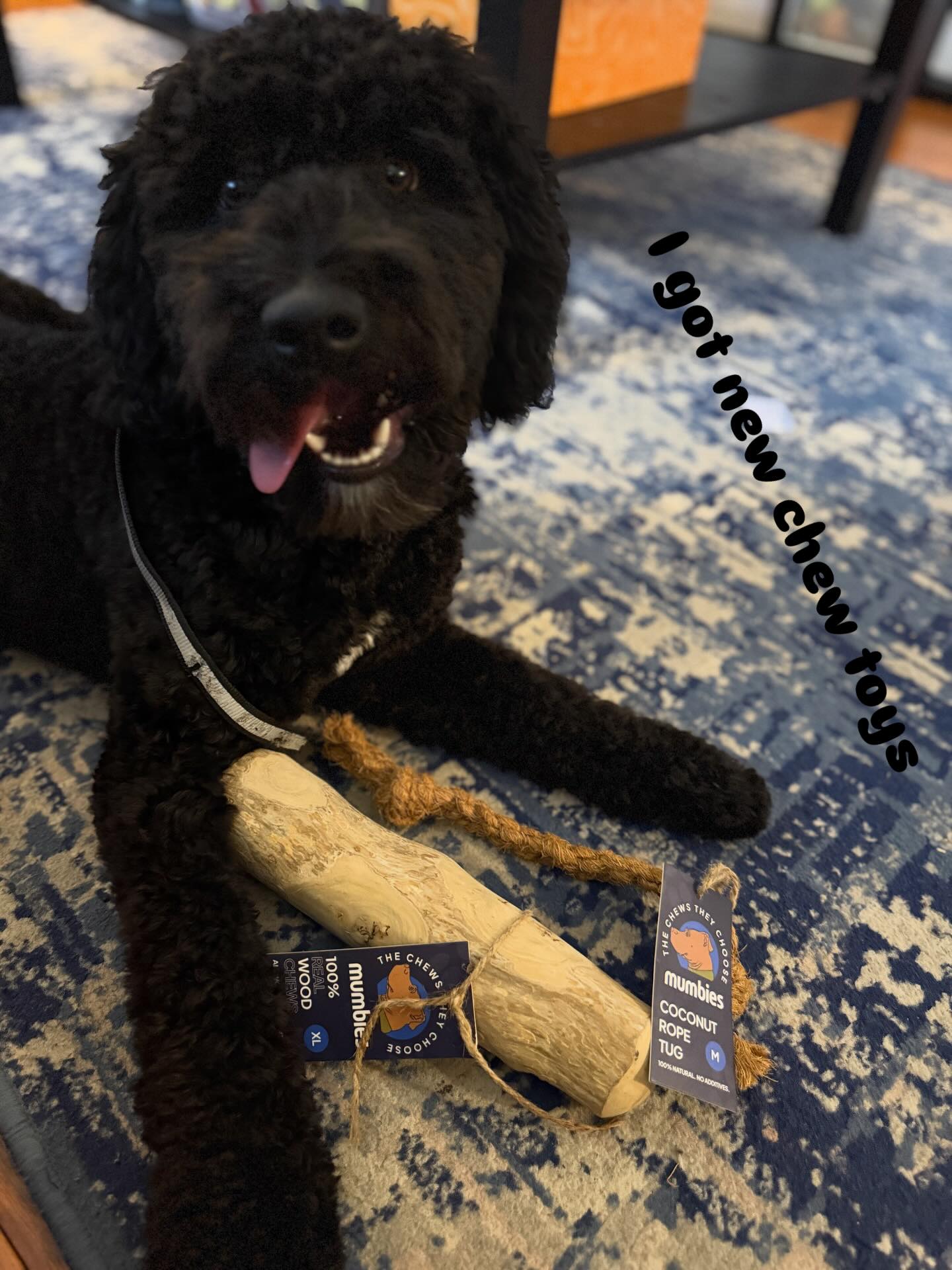 Black doodle with Mumbies products