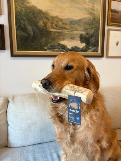 Camper with XL chew